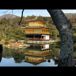 Meet your Posher, Steven song